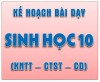 Kế hoạch bài dạy môn Sinh học 10