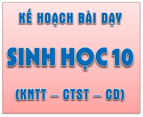Kế hoạch bài dạy môn Sinh học 10
